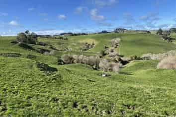 538 Puketawai Road, Otorohanga