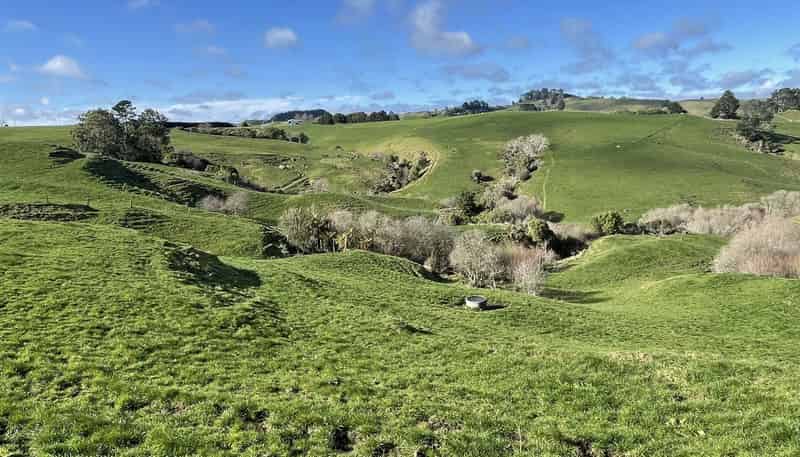 538 Puketawai Road, Otorohanga