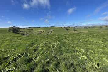 538 Puketawai Road, Otorohanga