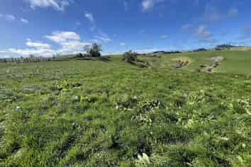 538 Puketawai Road, Otorohanga