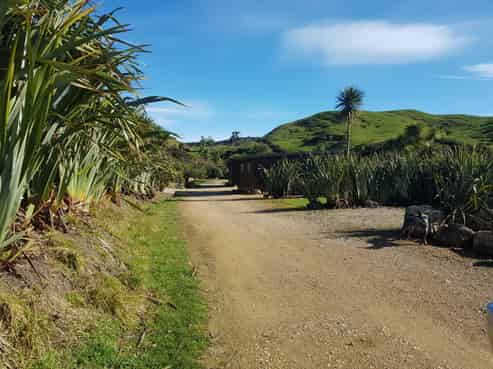 560 Wharariki Road, Collingwood
