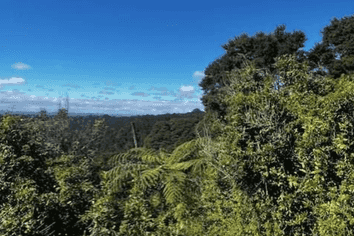 50 Kitewaho Road, Swanson