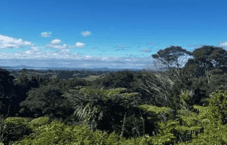 50 Kitewaho Road, Swanson