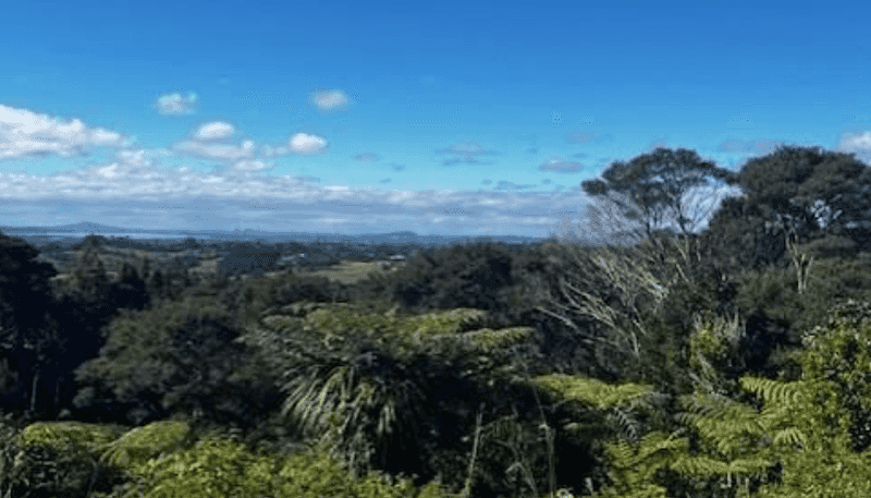 50 Kitewaho Road, Swanson