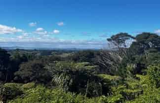  50 Kitewaho Road, Swanson