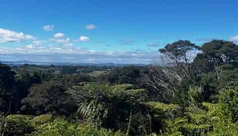  50 Kitewaho Road, Swanson