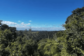 50 Kitewaho Road, Swanson