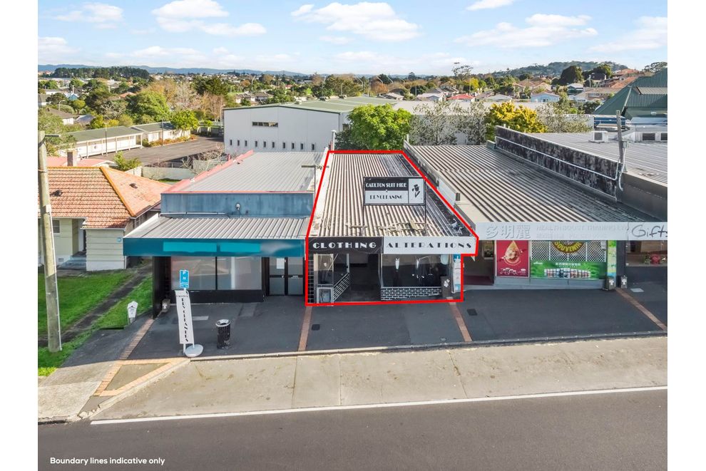 For sale 1017A Dominion Road, Mount Roskill realestate.co.nz
