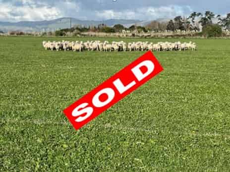 279 Karere Road, Tiakitahuna