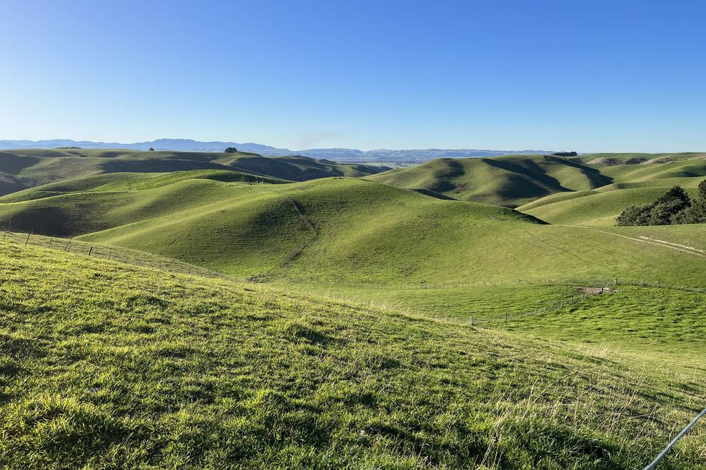 Property value 9 Mcphee Road, North Otago realestate.co.nz