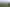 Bay of Plenty - Address withheld