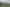 Bay of Plenty - Address withheld