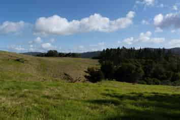 19 Toots Drive, Kawakawa
