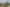 Bay of Plenty - Address withheld
