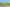 Bay of Plenty - Address withheld