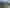 Bay of Plenty - Address withheld
