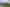 Bay of Plenty - Address withheld