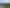 Bay of Plenty - Address withheld
