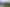 Bay of Plenty - Address withheld