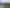 Bay of Plenty - Address withheld