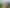 Bay of Plenty - Address withheld