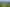 2594 Awhitu Road, Awhitu
