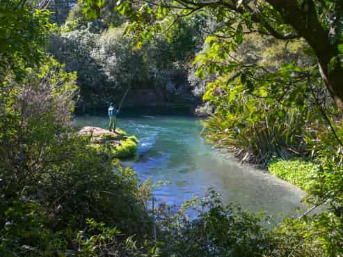 3 Mill Road, Waitahanui