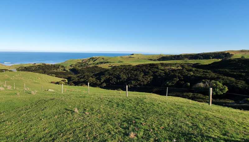 1597 Whaanga Road, Raglan