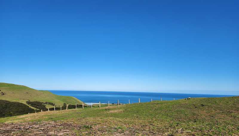 1597 Whaanga Road, Raglan