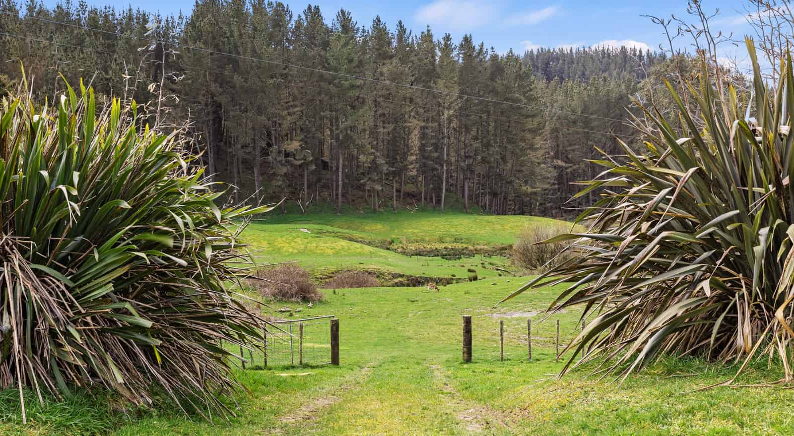 102 Okaihae Road, Taumarunui, Ruapehu For Sale realestate.co.nz