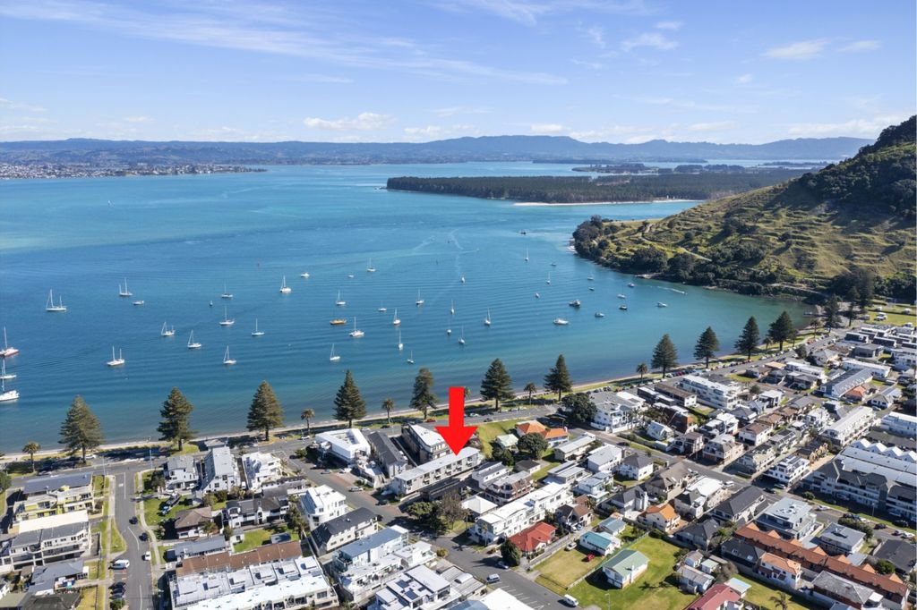 Sold 3E Grace Avenue, Mount Maunganui realestate.co.nz
