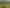 285 Bellville Drive, Coromandel