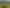 285 Bellville Drive, Coromandel