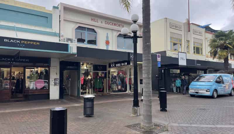 233A Emerson Street, Napier South