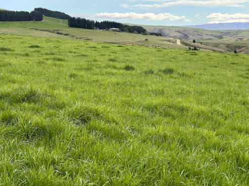 968 Wallaces Ford Road, East Otago