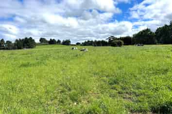11 Marchant, Eketahuna