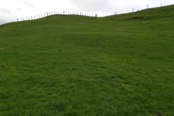 Lot 1, 627 Waitomo Valley Road, Otorohanga