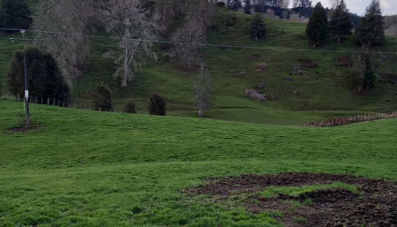 Lot 1, 627 Waitomo Valley Road, Otorohanga