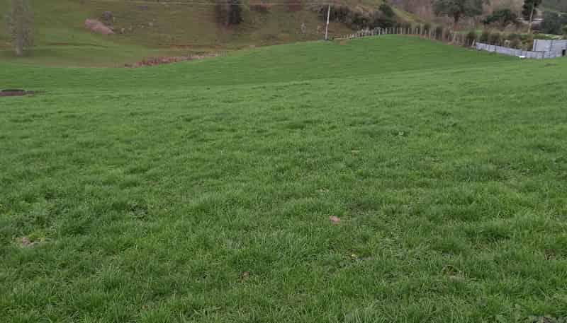 Lot 1, 627 Waitomo Valley Road, Otorohanga