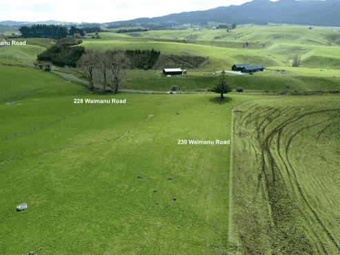 194 Waimanu Road, Pukeatua