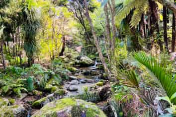 600 Buffalo  Road, Coromandel