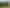 Lot 1 Punga Way, Te Puke