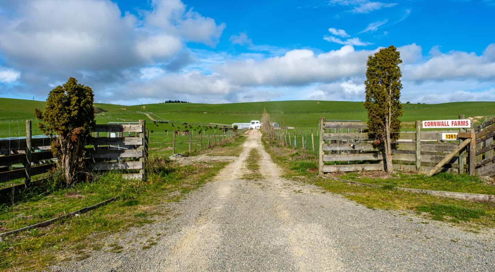 1261 WinchesterHanging Rock Road, Geraldine, Timaru For Sale