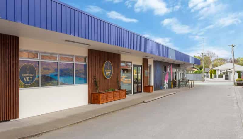 122 Opawa Road and 129 Hawford Road, Opawa