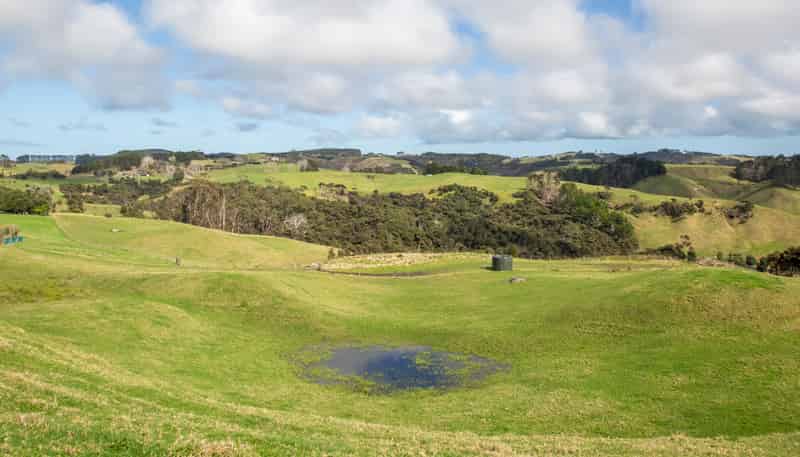 49 Shine Road, South Head
