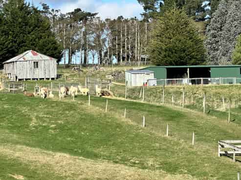 140 Three Mile Hill Road, North Taieri
