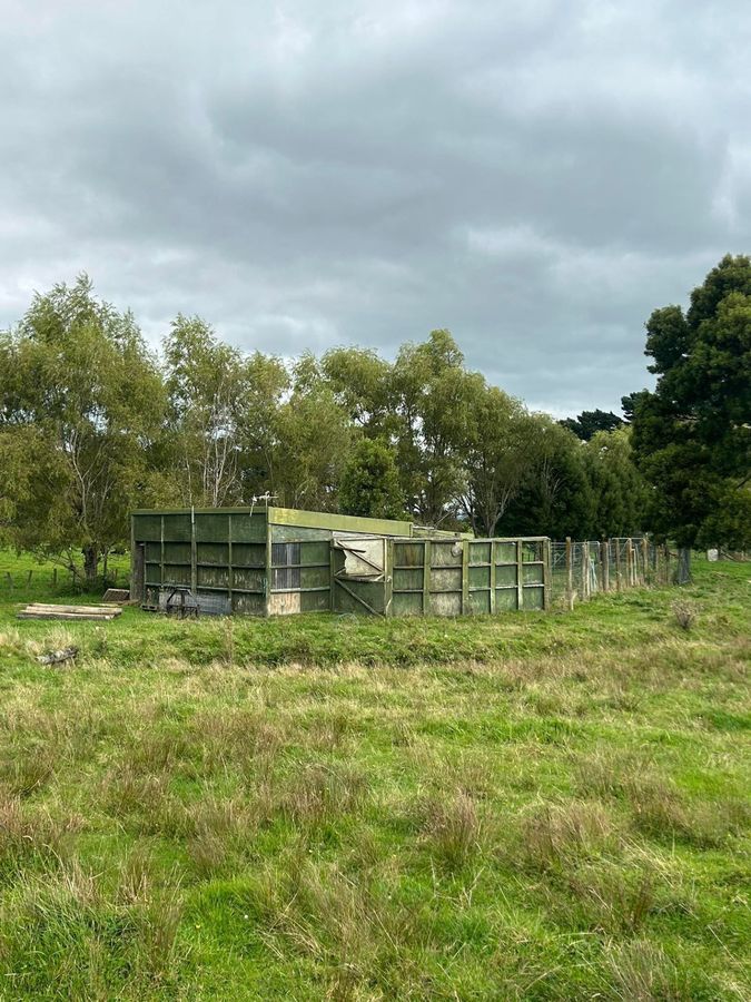 'Willow Views' – pohled 5