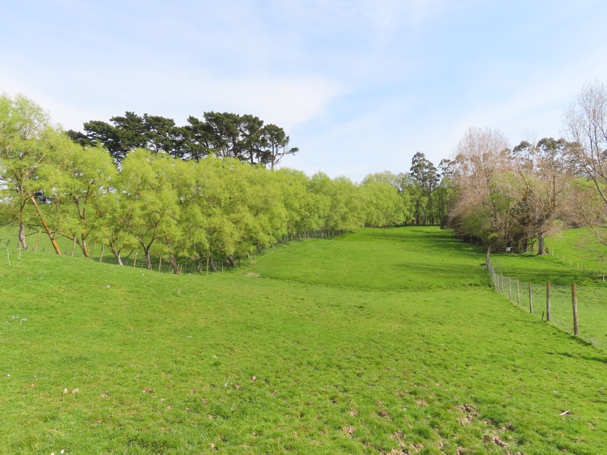 'Willow Views' – pohled 2