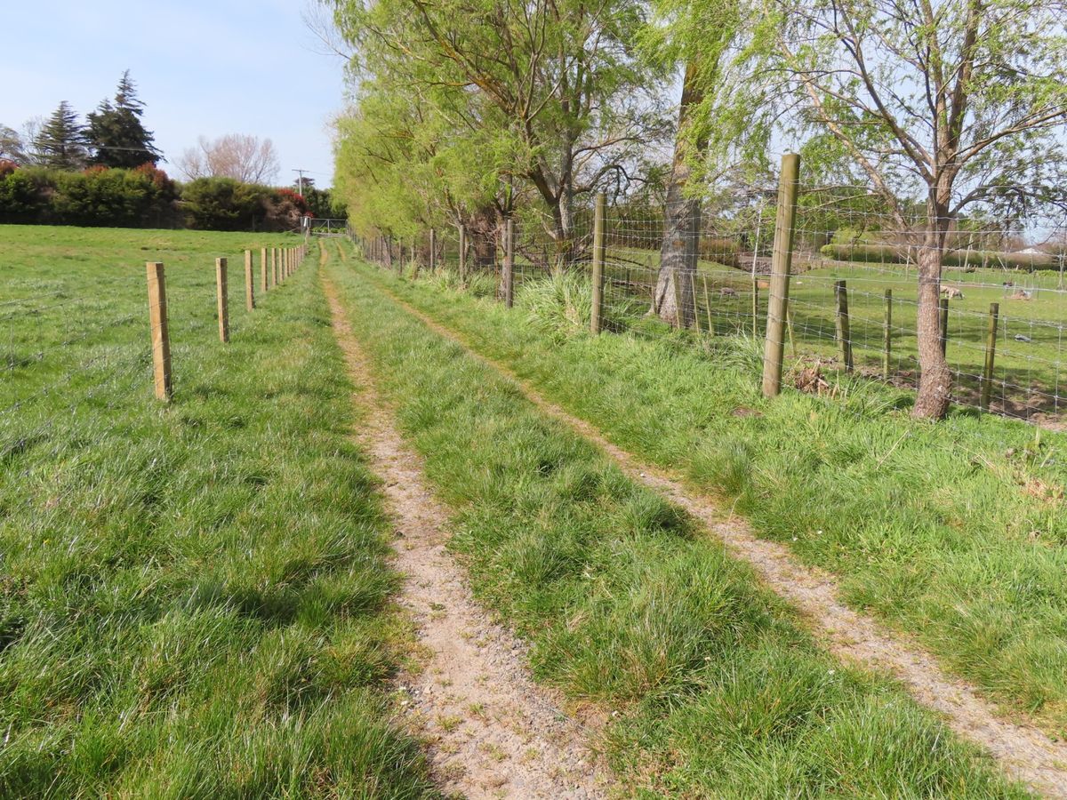 'Willow Views' – další