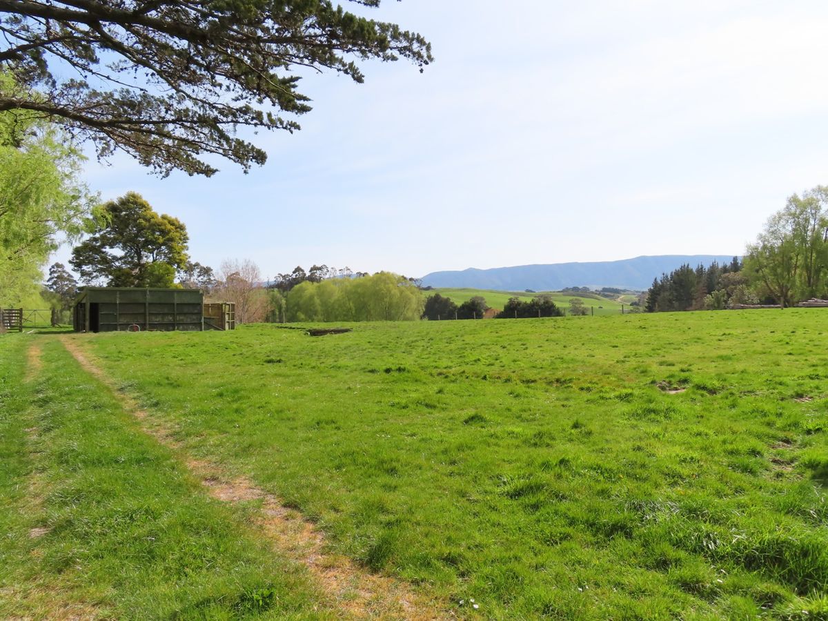 'Willow Views' – pohled 3